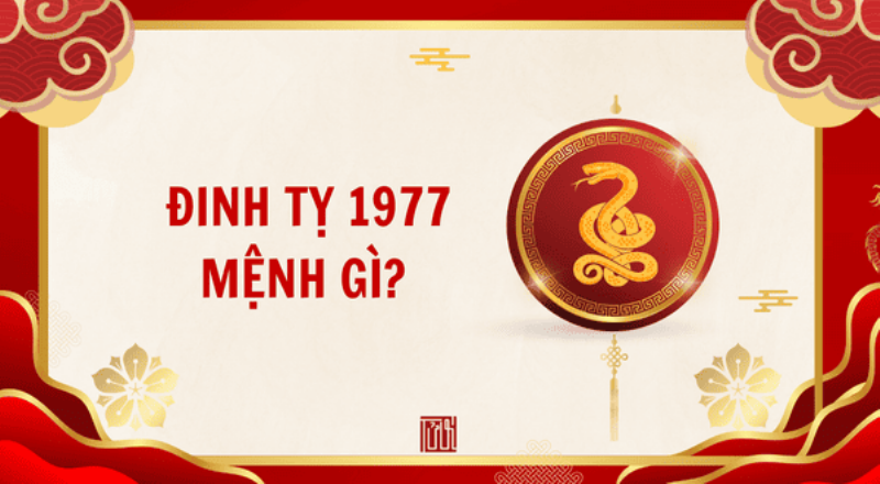 Ứng dụng tử vi để đạt sự hài hòa và cân bằng với môi trường xung quanh cho tuổi Đinh Tỵ 1977